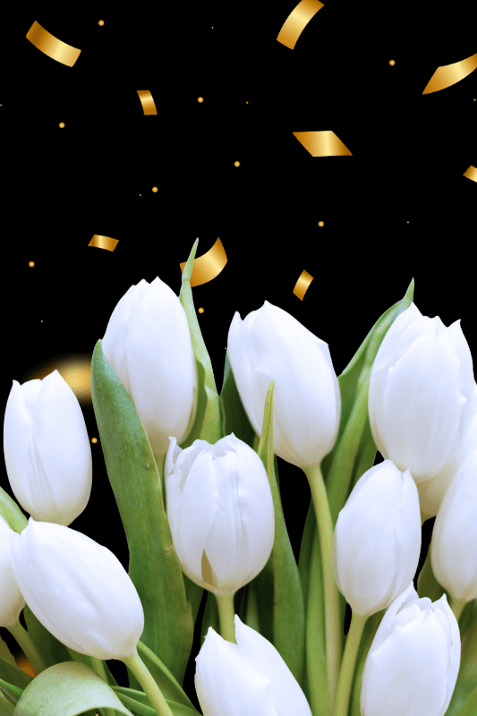 Jóla Auglýsing 2025