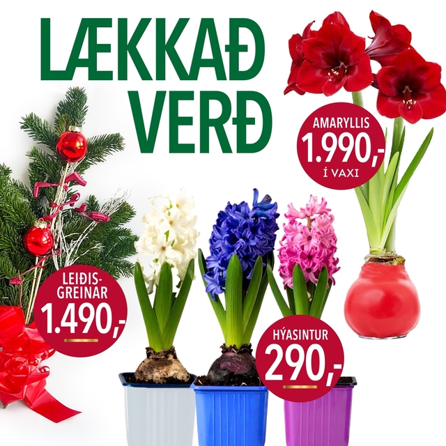 3 Saman Lækkað Verð